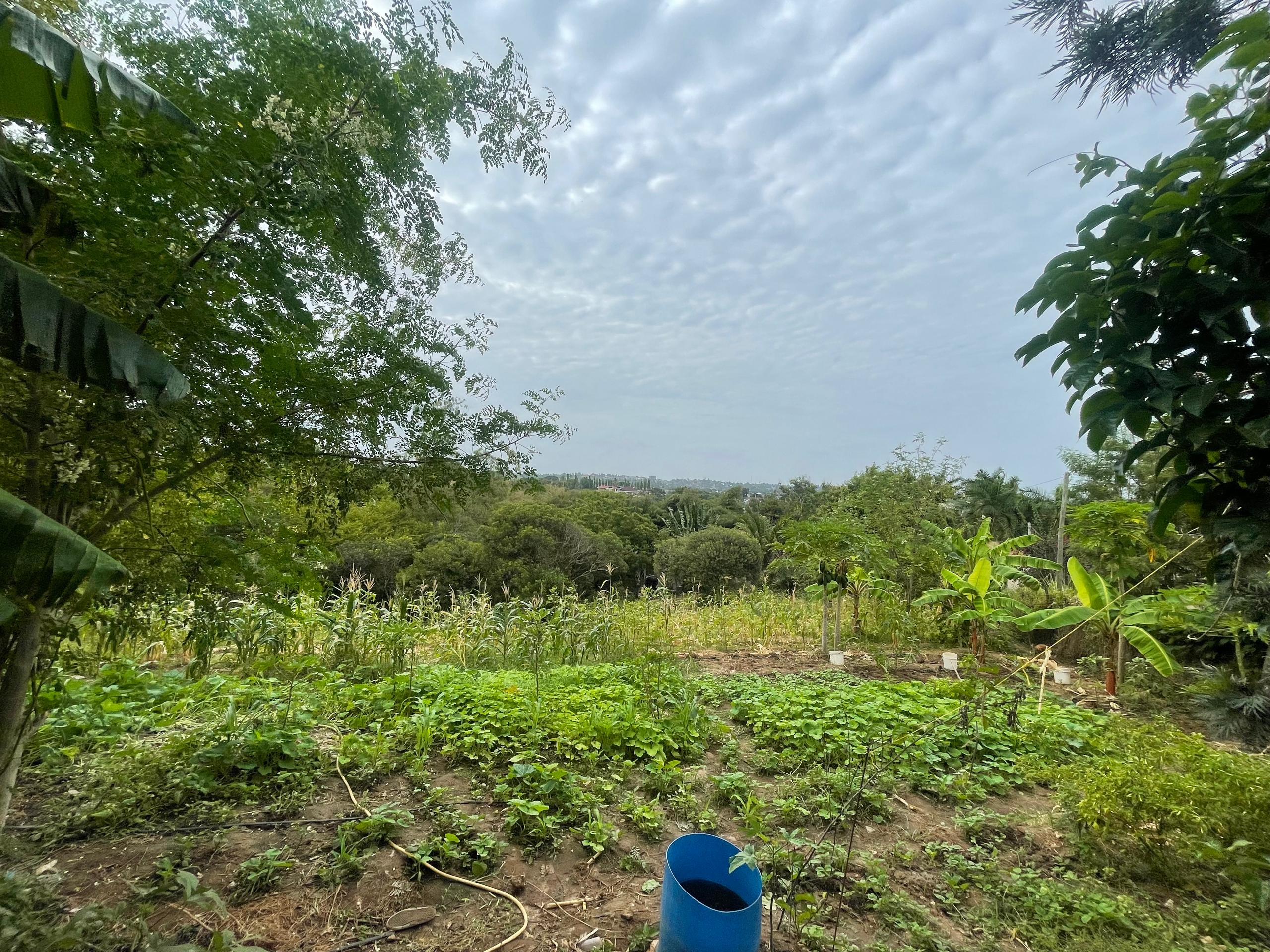 Ngashes Homestay exterior
